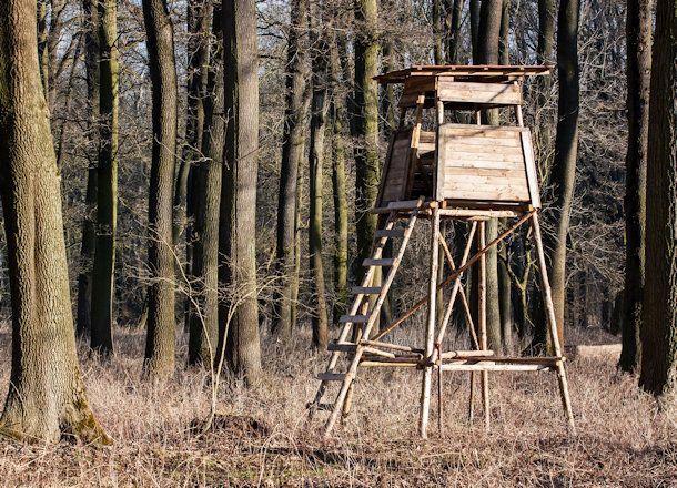 Elevated Wood vs. Steel Hunting Stands