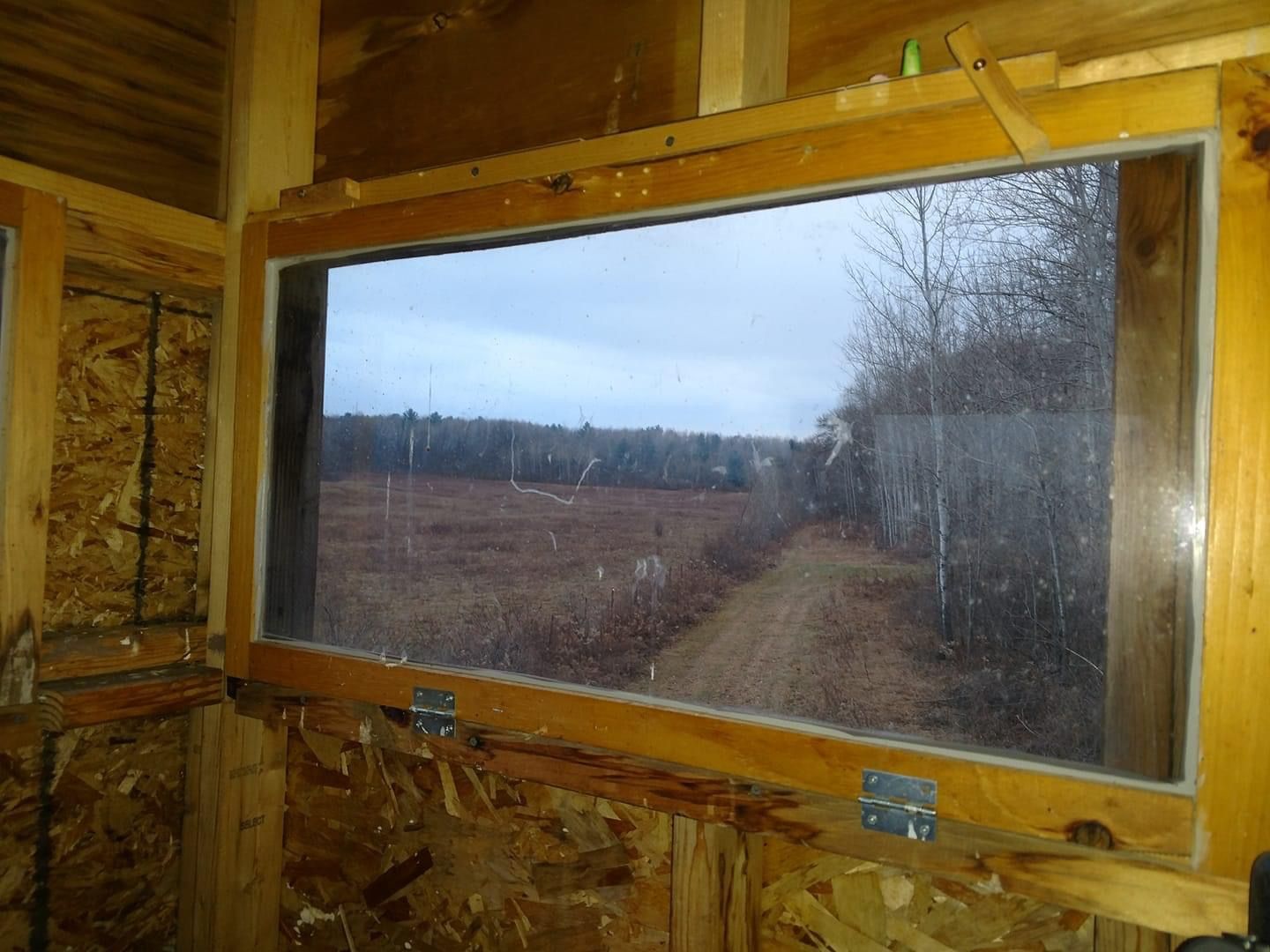 Ground Blind Windows