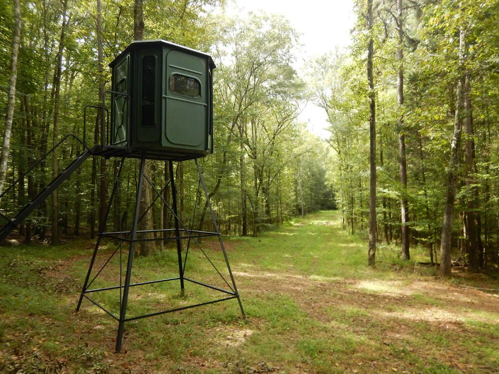 Where to Put a Deer Blind on a Food Plot